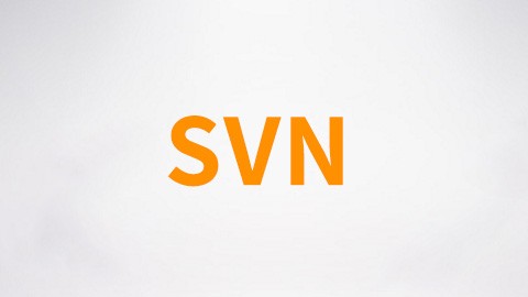 尚硅谷SVN视频教程